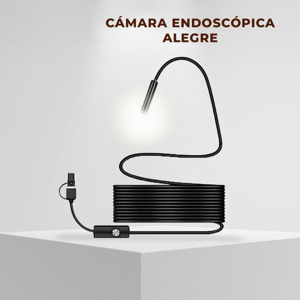 Cámara Endoscópica Alegre®