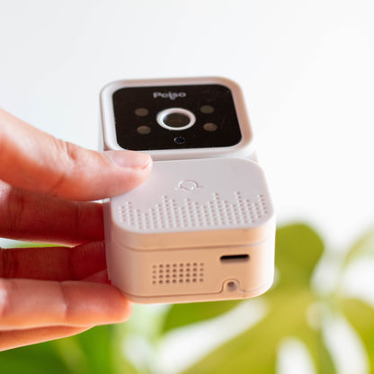 Timbre Inteligente Alegre®