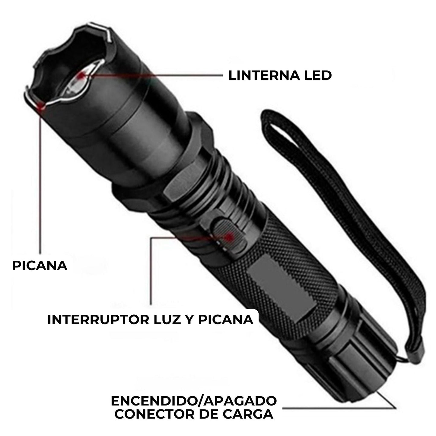 Linterna de Seguridad Alegre®